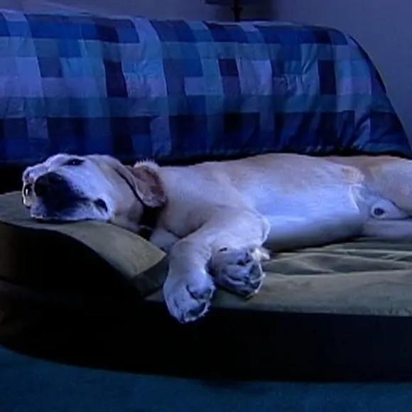 Production Frame Grab: Sleeping Dog